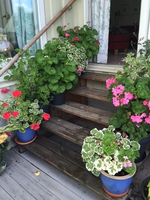 Trapp fra terrasse opp til stue